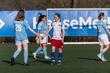 Bild 345 - F Hamburger SV 3 - Blau-Weiss 96 : Ergebnis: 5:1